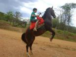 Avatar de Marley3