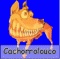 cachorrolouco