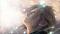 Avatar de biocrysis
