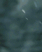 Avatar de arkan16